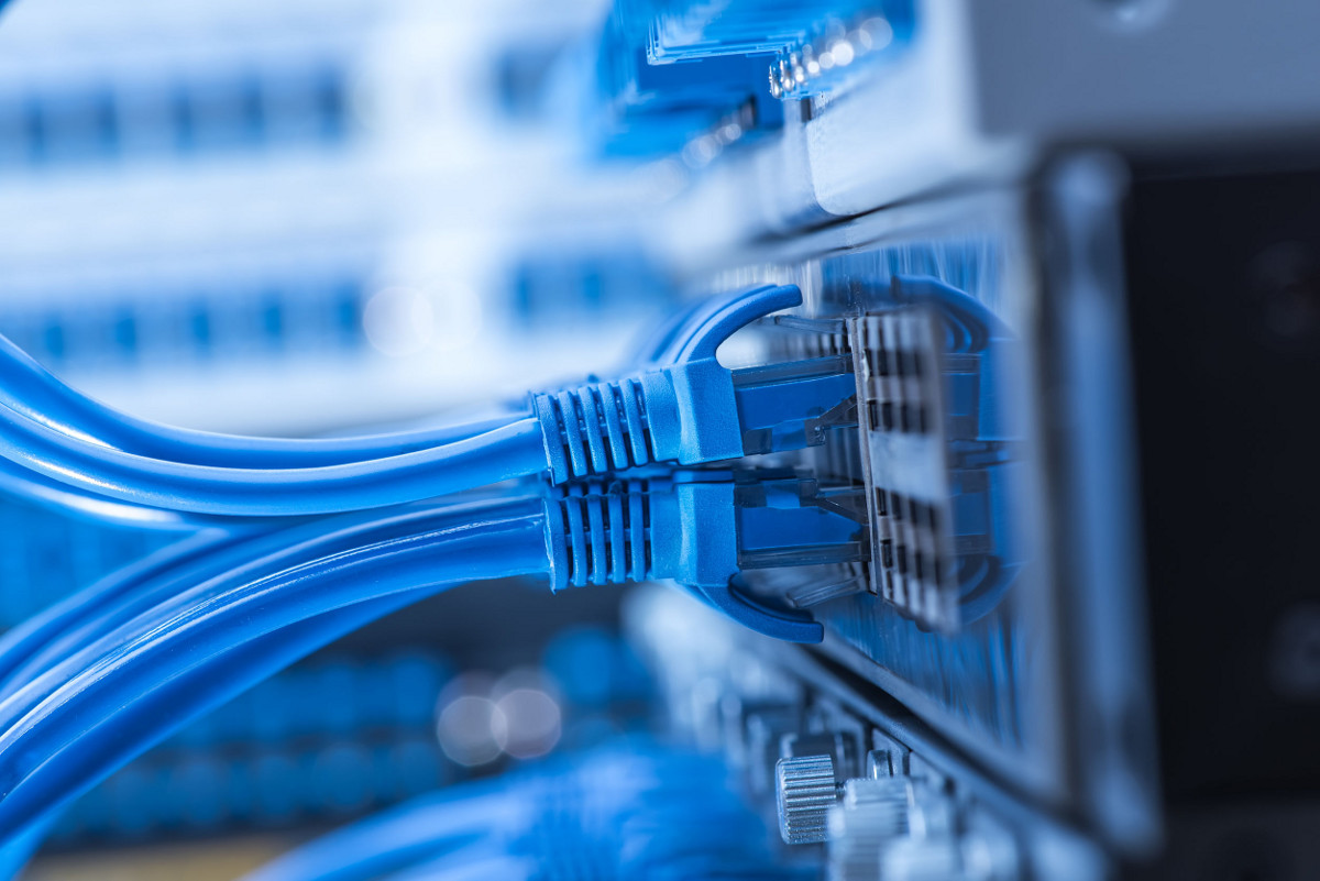 Close up of ethernet cables plugged into a server tower.